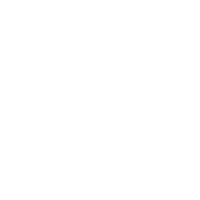 Dynamic-Pulse-Customization